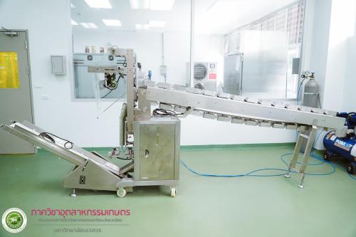 เครื่องซีลลำเลียงระบบปิดปากถุง (Automatic Packing Machine) รุ่น DLP 320N B2