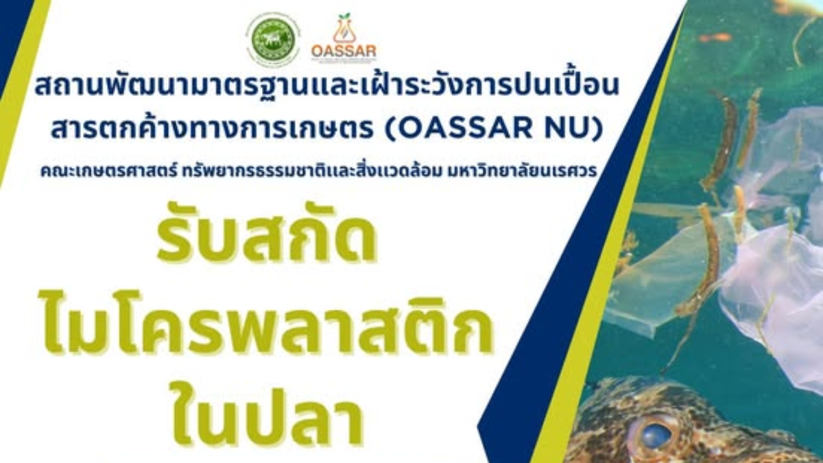 สถานพัฒนามาตรฐานและเฝ้าระวังการปนเปื้อนสารตกค้างทางการเกษตร คณะเกษตรศาสตร์ ฯ รับสกัดไมโครพลาสติกและส่องผ่านกล้องจุลทรรศน์ พร้อมถ่ายภาพ ในปลา